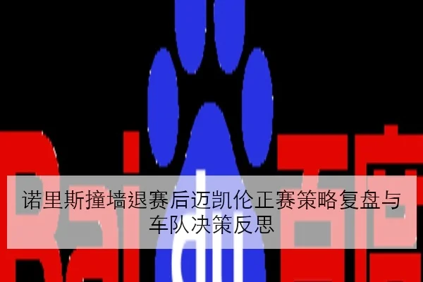 诺里斯撞墙退赛后迈凯伦正赛策略复盘与车队决策反思